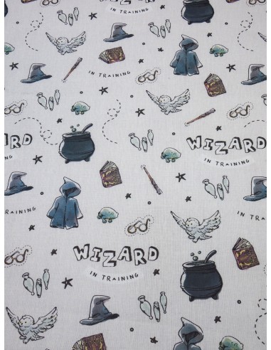 Tissu Harry Potter fond blanc