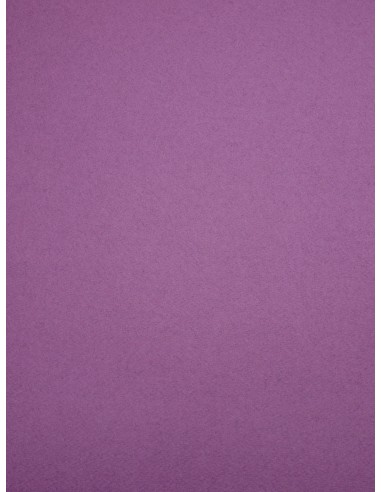Tissu drap de laine - Parme