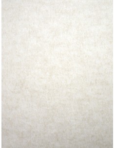 Tissu Aspect lainage - Ecru