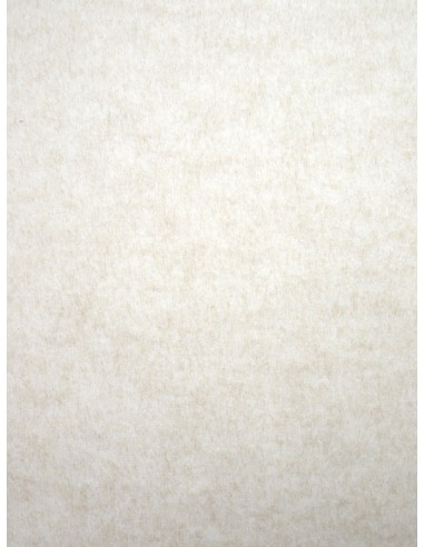 Tissu Aspect lainage - Ecru